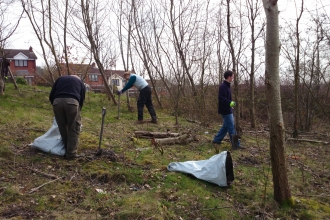 Working with community groups to plant trees