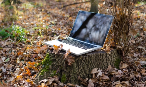 Laptop in wood
