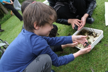 Child holding a smooth newt at EcoPark