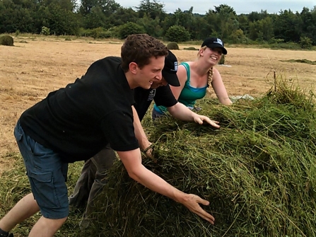 Rolling a hay bale
