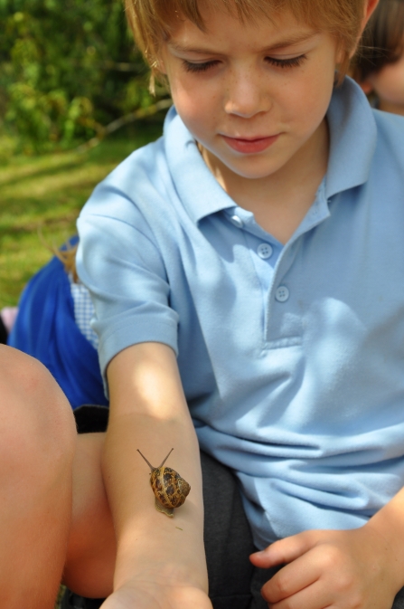 snail crawling up childs arm