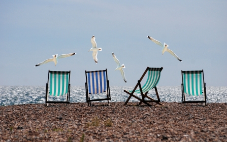 Seagulls swarming deckchairs on beach
