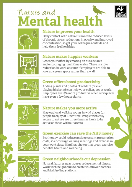 Nature & Mental Health Infographic