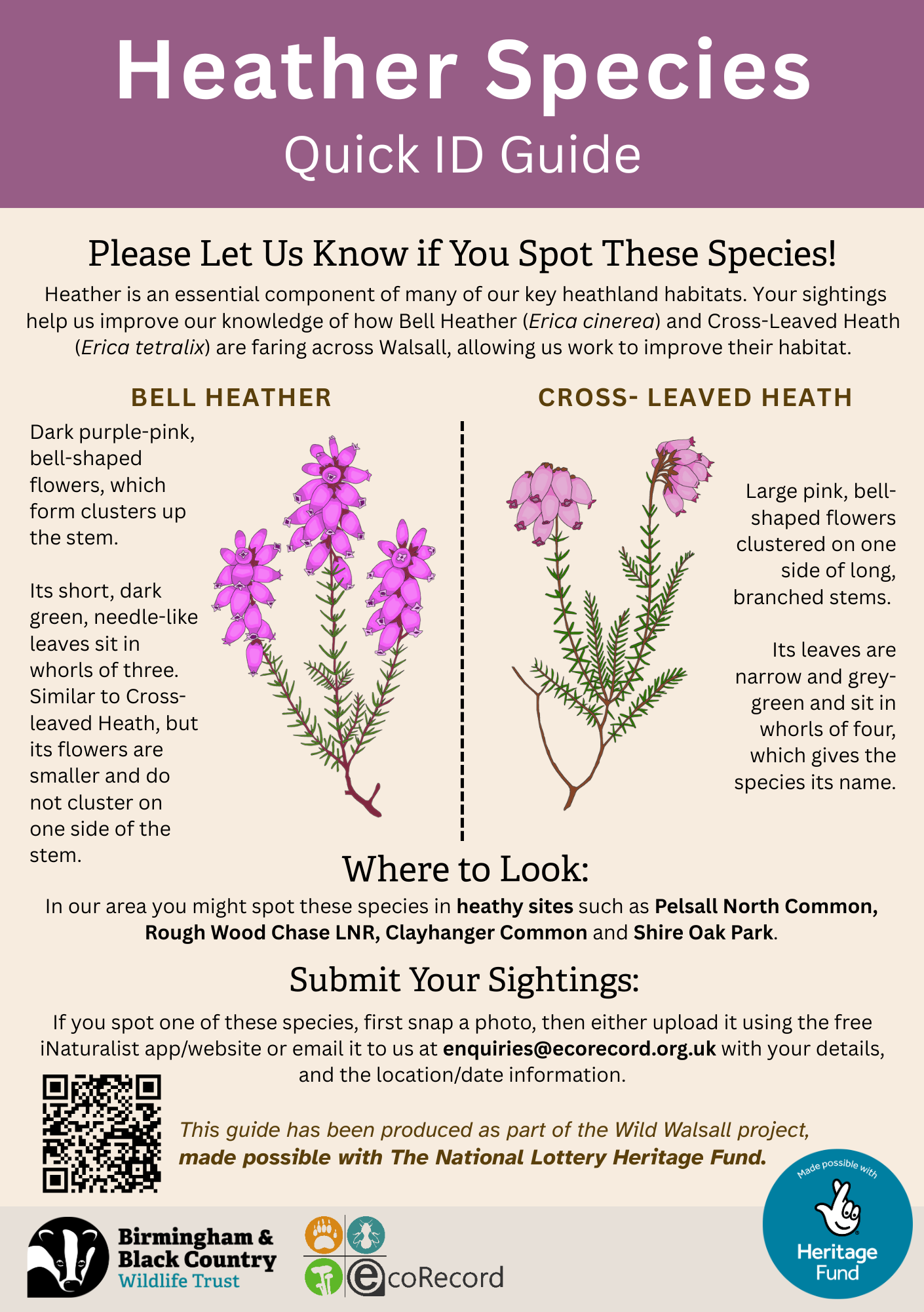 Heather Species ID Guide