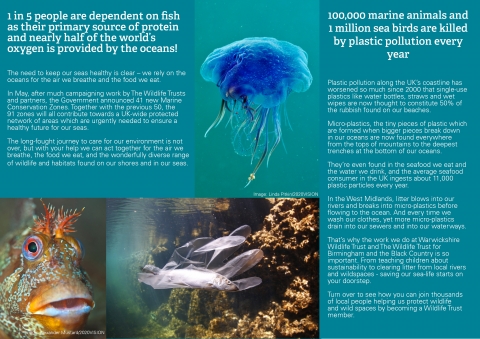 Marine Conservation & Plastic