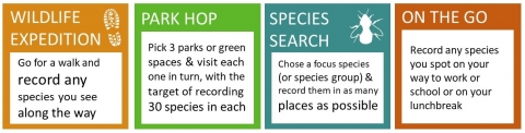Wildlife Expedition, Park Hop, Species Search, On the Go