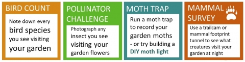 bird counts, pollinator challenges, moth traps, mammal surveys or something completely different!
