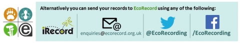 Recording via EcoRecord