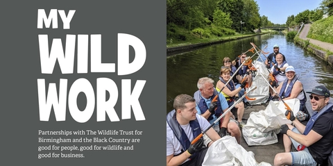 Wild Work image