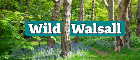 Wild Walsall Banner