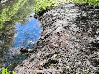 Smestow Brook