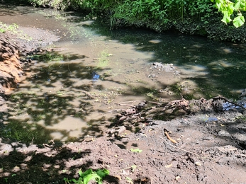 Smestow Brook