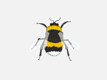 bee