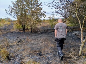 Portway Hill fire