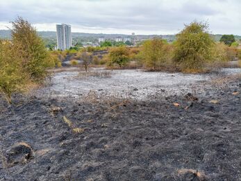 Portway Hill fire