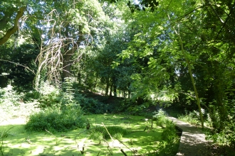 Moseley Bog Pool