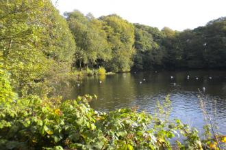 Hill Hook Nature Reserve