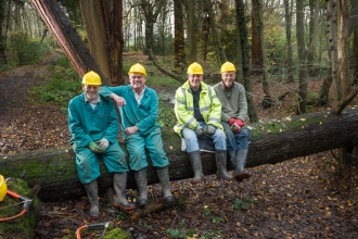 Mike, Bernard, John and John sat on a tree with hard hats on