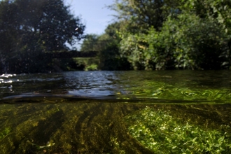 river stour