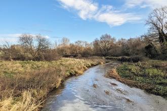 River Cole