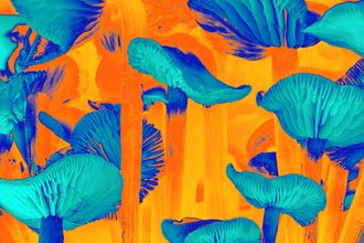 Fungi