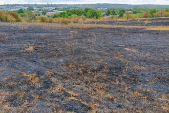 Portway Hill fire