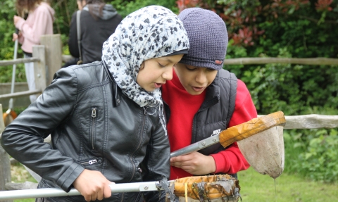 Children pond dipping at EcoPark