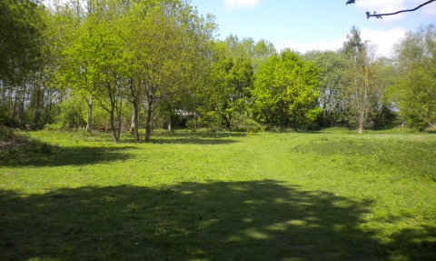 Hill Hook Local Nature Reserve