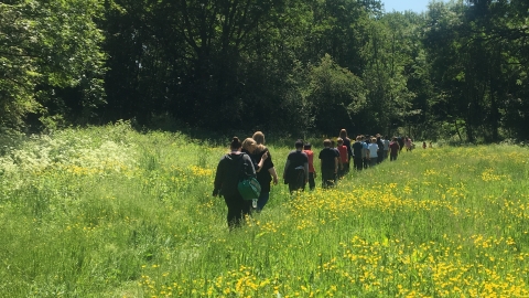 Guided Walk