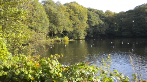 Hill Hook Nature Reserve