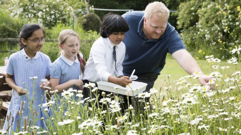 Children learning about wild flowers at EcoPark