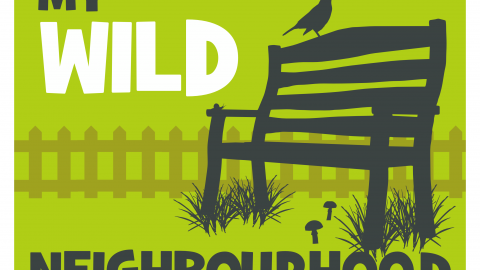 My Wild Neighbourhood Logo