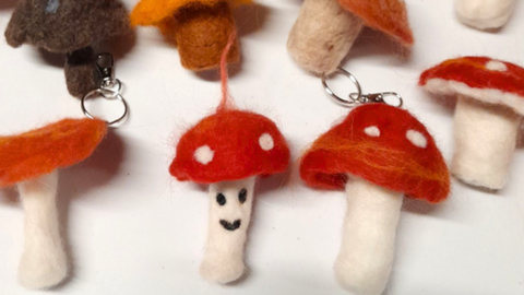 Felt Fungi