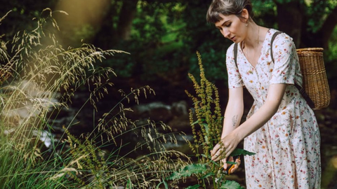 Natural Dyes Workshop (for 16-25yr olds)
