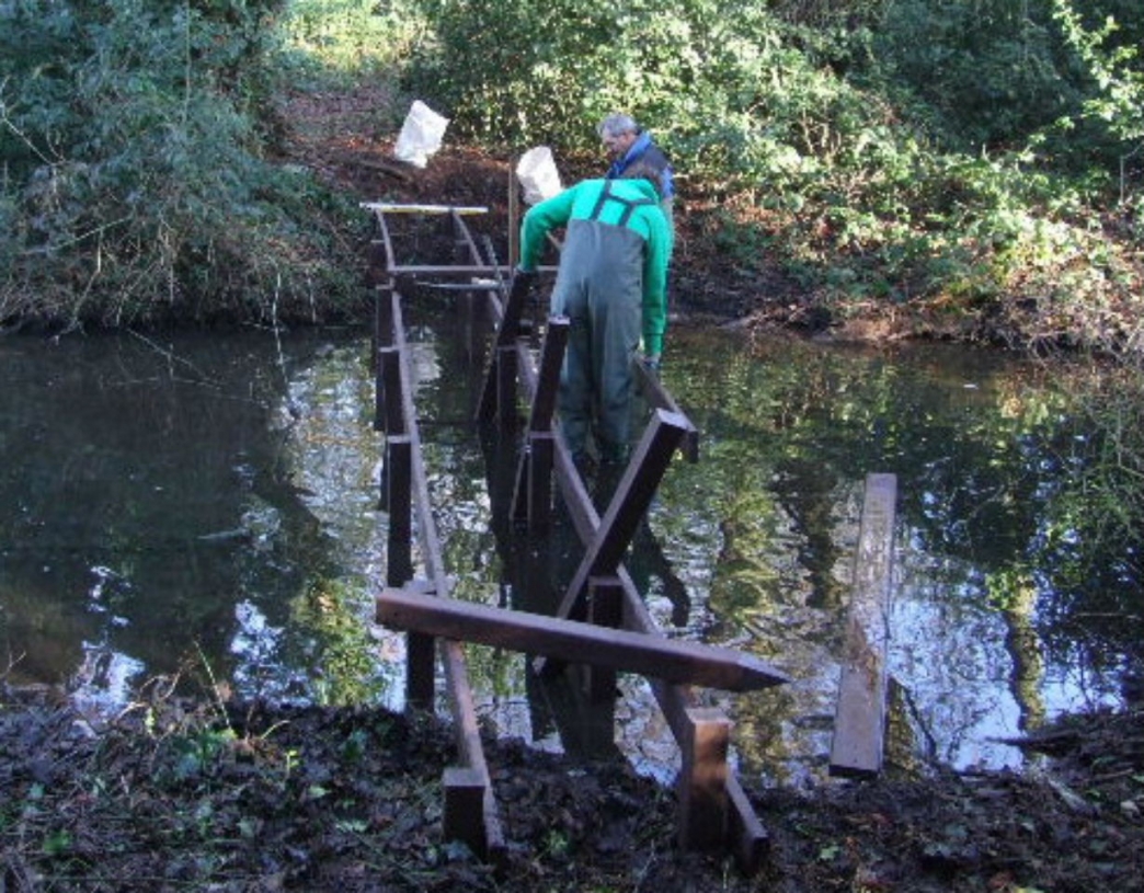 Friends of Hill Hook Birmingham & Black Country Wildlife Trust