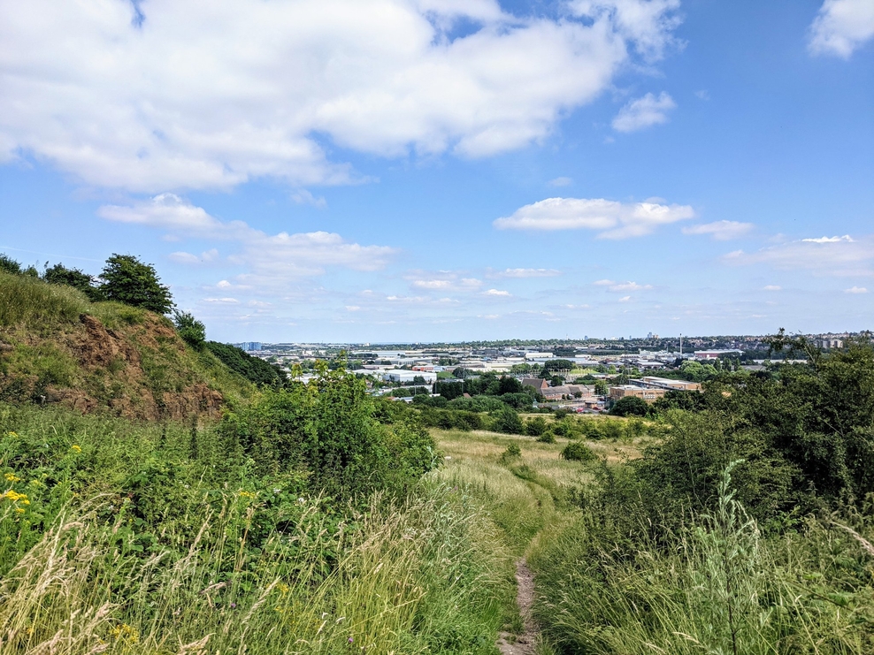 Portway Hill Volunteer Days Birmingham & Black Country Wildlife Trust