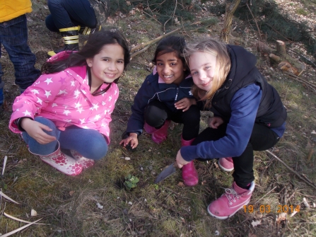 Children from Milking Bank Primary School planting primroses