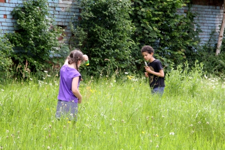 Children hunting for mini beasts at Centre of the Earth