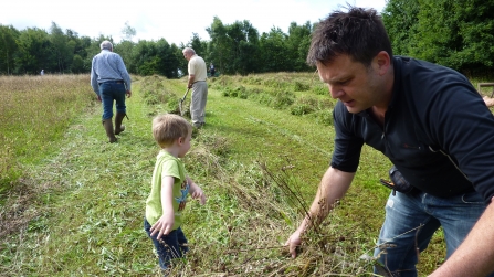 Making hay at Kitchen Lane