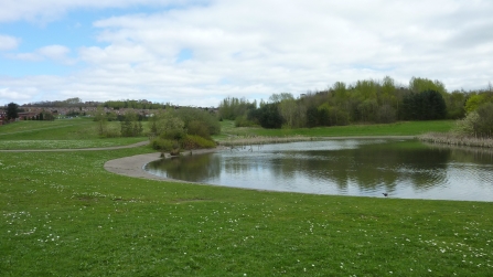 Milking Bank view