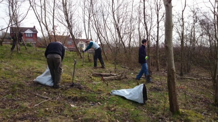 Working with community groups to plant trees