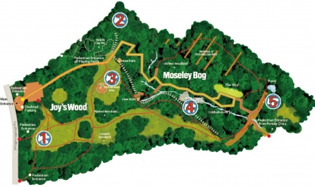 Map of Moseley Bog with sites of cultural interest marked