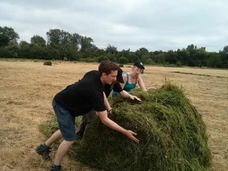 Rolling a hay bale at Castle Vale meadow