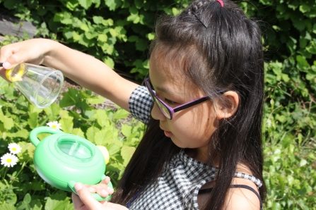 Young girl studying mini beasts