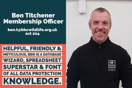 Ben Titchener