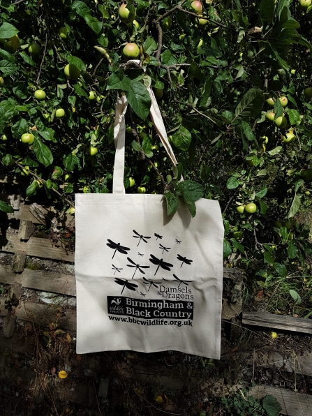 Damsels & Dragons Tote Bag