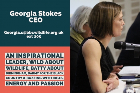Georgia Stokes, CEO