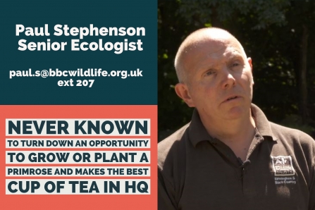 Paul Stephenson