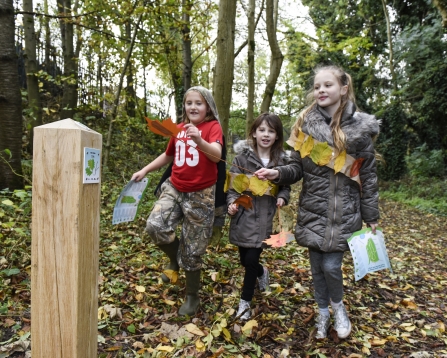 Children following the tree trail at Peascroft Wood