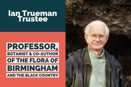 Ian Trueman